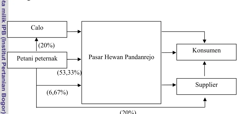 Gambar 4. Persentase Saluran Pemasaran Kambing PE di Purworejo