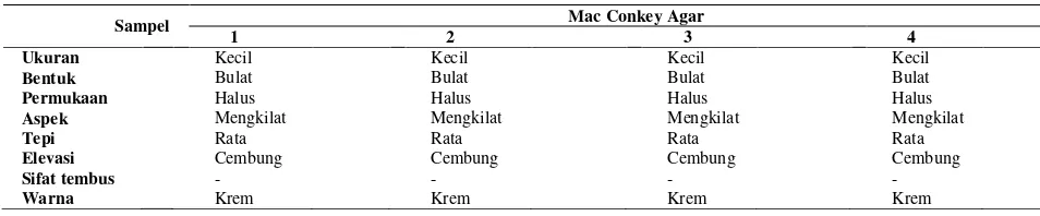 Tabel 2  Hasil isolasi bakteri saluran reproduksi imago betina  