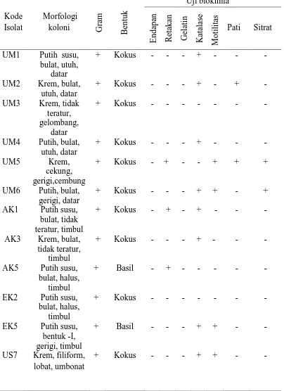 Tabel 4.1. Karakteristik morfologi dan Biokimia Isolat BAL  