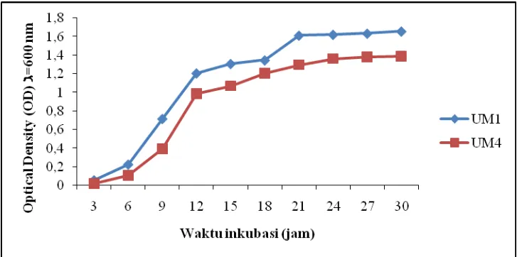 Gambar 4.3. Kurva pertumbuhan isolat UM1 dan UM4 pada media NB  