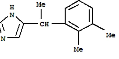 Gambar 1. Struktur kimia medetomidin (C13H16N2) (www.lookchem.com 2015)