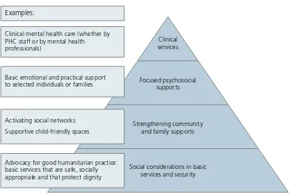 Figure 1. The IASC and Sphere Project intervention pyramid for mental health 
