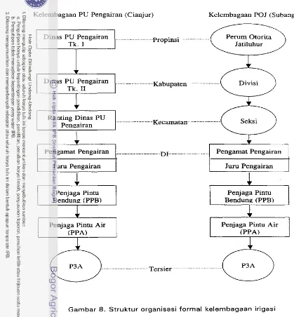 Gambar 8. Struktur organisasi formal kelembagaan irigasi 