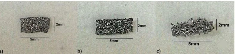 Gambar 3 Fe berpori 450 µm (a), 580 µm (b), dan 800 µm (c) 