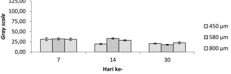 Tabel 1 Densitas implan pada Fe berpori pada os femur tikus selama 30 hari pengamatan