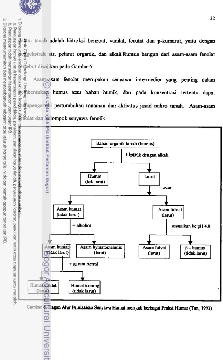Gambar 4. Bagan Alur Pemisahao Senyawa Humat menjadi m g a i  Fraksi Humat flan, 1993) 
