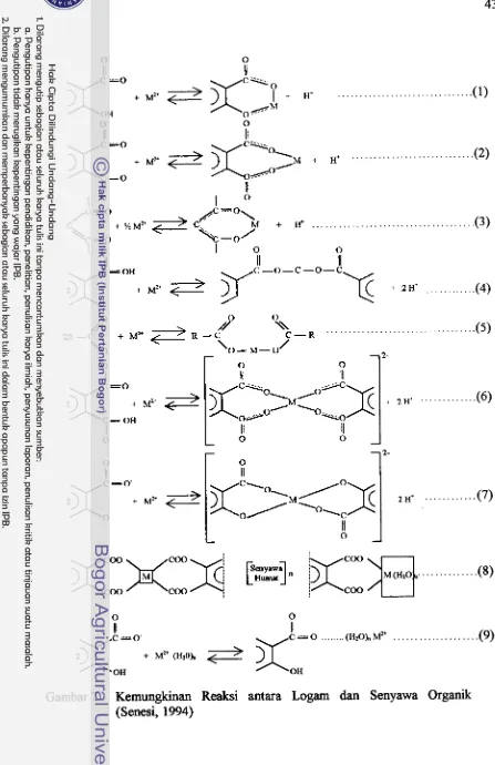 Gambar 7. Kemungkinan Reaksi antara Logam dan Senyawa Organik 
