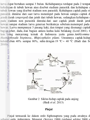 Gambar 2  Siklus hidup caplak pada anjing (Hadi et al. 2013) 