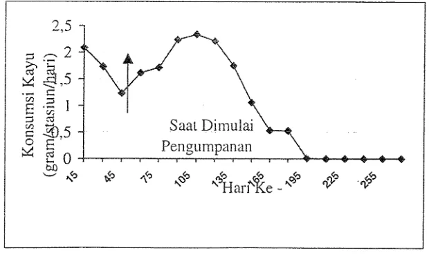 Gambar 1. Wilayah Jelajah Koloni S. javarzicus di Halaman Gedung CIFOR: Bogor 
