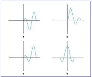 Gambar 7. Jenis-jenis waveletphase wavelet berdasarkan konsentrasi energinya, yaitu mixed (1), minimum phase wavelet (2), maximum phase wavelet (3), danzero phase wavelet (4) (Sismanto, 2006)