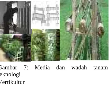 Gambar 7: 