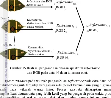 Gambar 15 Ilustrasi pengambilan rataaan spektrum reflectance 