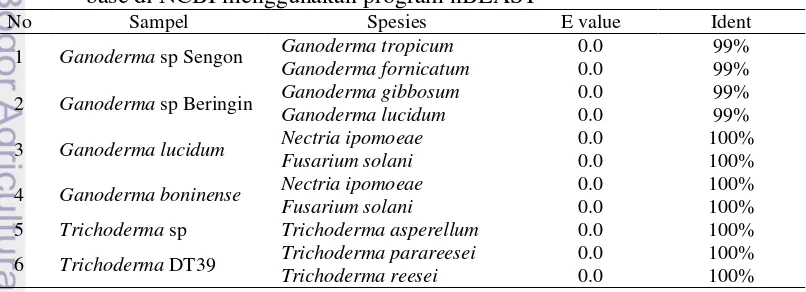 Tabel 3 Hasil pencocokan urutan basa hasil sequencing amplikon dengan data 