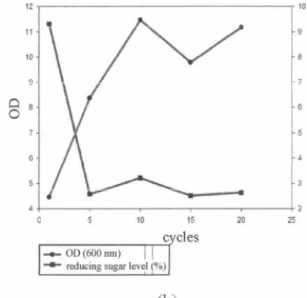 Figure 2 The growth curve of C. tropica/is and reducing sugar level which were adapted in 