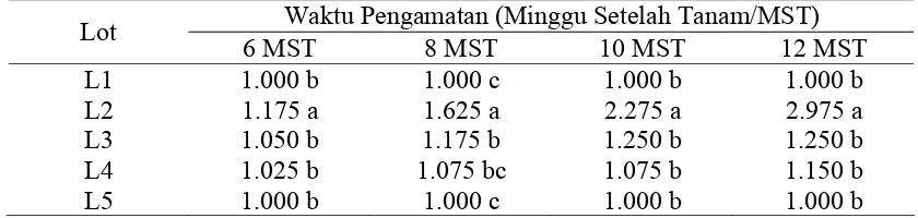 Tabel 11. Nilai Rata-Rata Jumlah Tunas Bibit Jarak Pagar pada Beberapa Lot Benih 