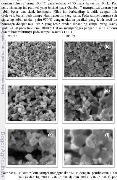 Gambar 8 Mikrostruktur sampel menggunakan SEM dengan  pembesaran 10000 
