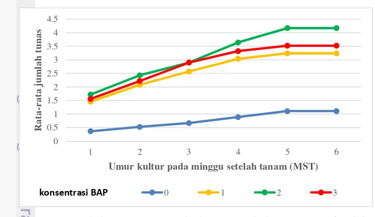 Tabel 1  Rata-rata jumlah tunas sereh wangi pada media MS dengan perlakuan BAP 