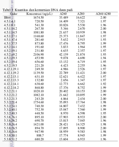 Tabel 3  Kuantitas dan kemurnian DNA daun padi 
