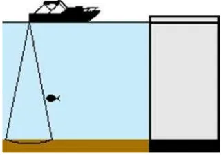 Gambar 2.9 Penggunaan sonar dalam mendeteksi ikan