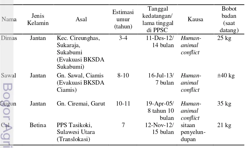 Tabel 2 Profil Macan tutul jawa di Pusat Penyelamatan Satwa Cikananga 