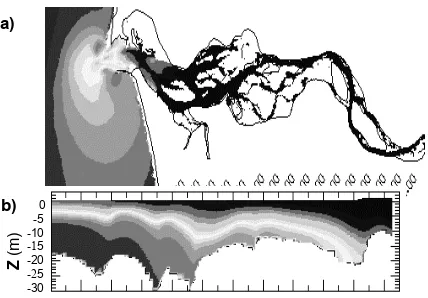 Figure 2. Two data products in the CORIE system: (a) Horizontal slice showing salinity in the estuary; (b) Vertical slice along a channel of the same data