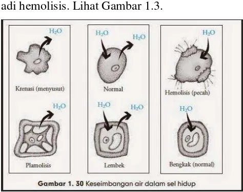 Gambar 1.2 Osmosis dan larutan 
