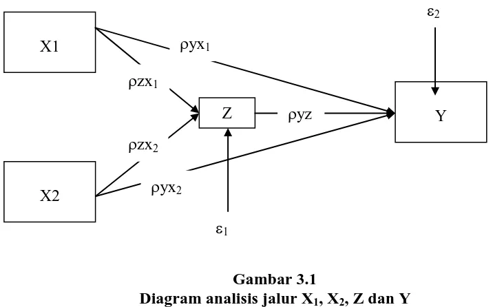 Gambar 3.1 Diagram analisis jalur X, X