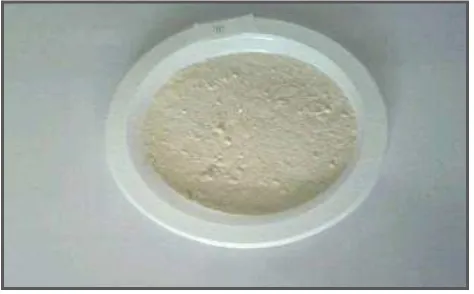 Gambar 4.1. Tepung Campuran Pisang Awak dengan Tepung beras 