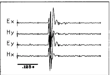 Gambar 7. Contoh noise yang koheren (Fontes, et al., 1988) 