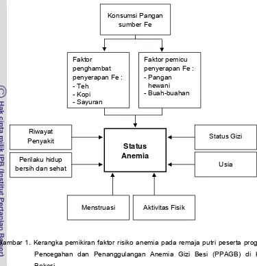 Gambar 1. Kerangka pemikiran faktor risiko anemia pada remaja putri peserta program  