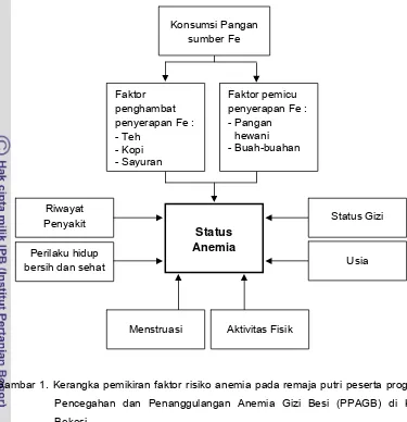 Faktor Risiko Anemia Pada Remaja Putri Peserta Program Pencegahan Dan ...