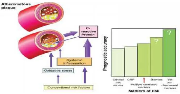 Gambar 3. Peran prognostik dari risiko klinis dan mark biokimiawi penyakit