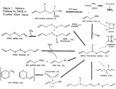 Figure 1: Re"action 