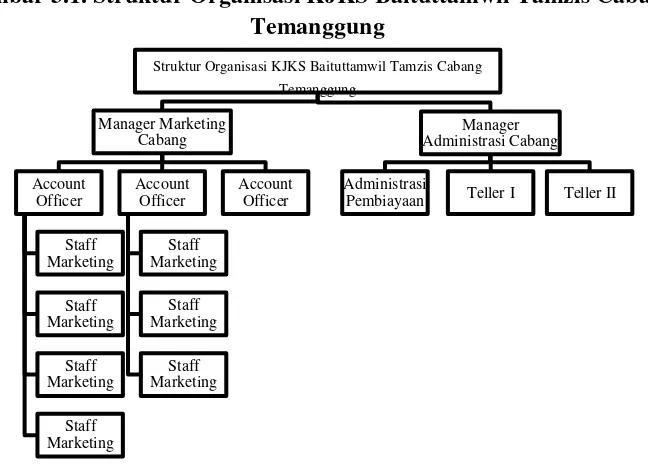 Gambar 3.1. Struktur Organisasi KJKS Baituttamwil Tamzis Cabang 