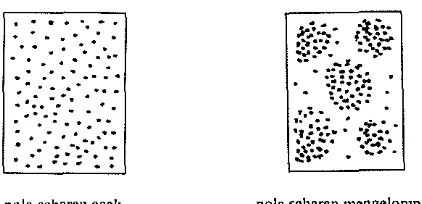 Gambar 2. Bentuk-Bentuk Pola Sebaran Spasial Populasi 