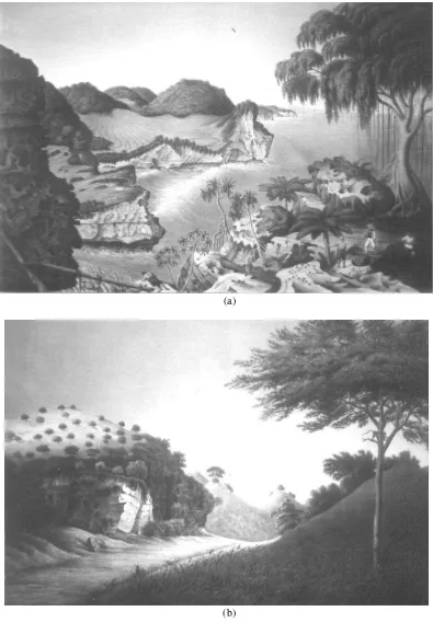 Figure 1.  Gunung Sewu in the past:  (a) nests harvesting at Rongkop, (b) between Semanu and Bedoyo Villages 