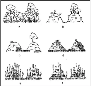 Figure 3.  Hilltop Deforestation Process(a) Original vegetation: mixed evergreen-monsoon forest (ca