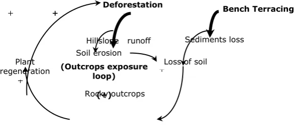 Figure 5.  Process of Rocky Desertification 