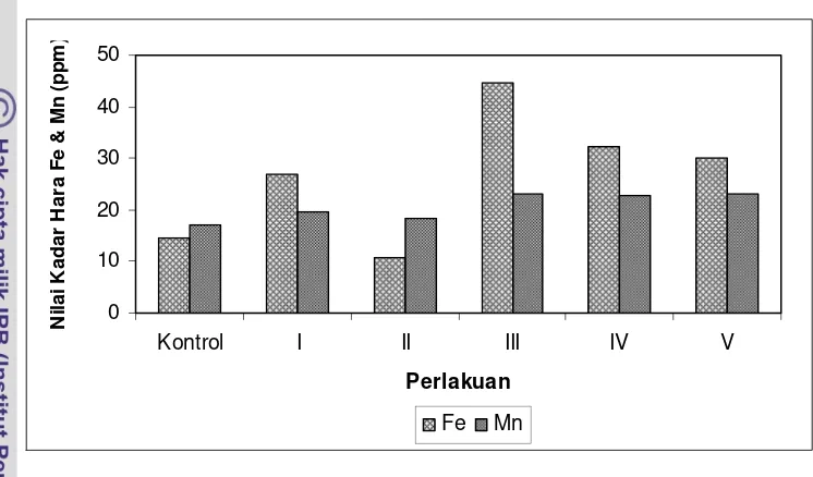 Gambar 8. Perbandingan nilai kadar hara Fe dan Mn (ppm) setelah perlakuan pada 