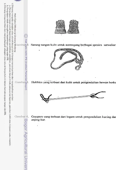 Gambar 2. Sarung tangan &lit untuk memegang berbaga~ spesies satwaliar 