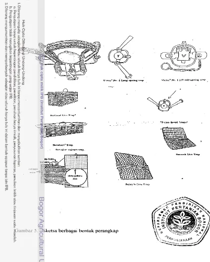 Gambar 5. Sketsa berbagai bentuk perangkap 