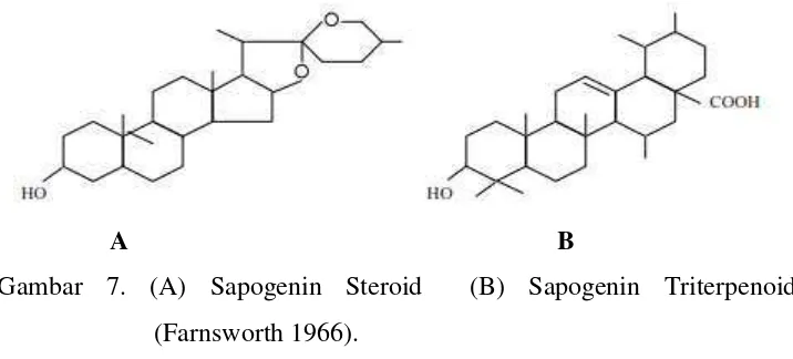 Gambar 7. (A) Sapogenin Steroid  (B) Sapogenin Triterpenoid 