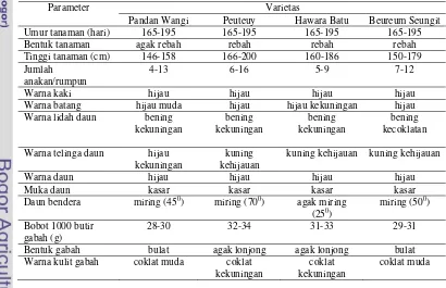Tabel 7 Ciri-ciri morfologi padi empat varietas lokal Cianjur 