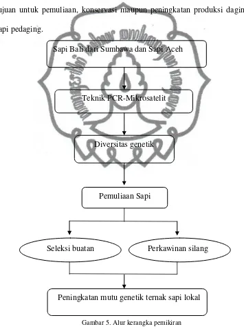 Gambar 5. Alur kerangka pemikiran 