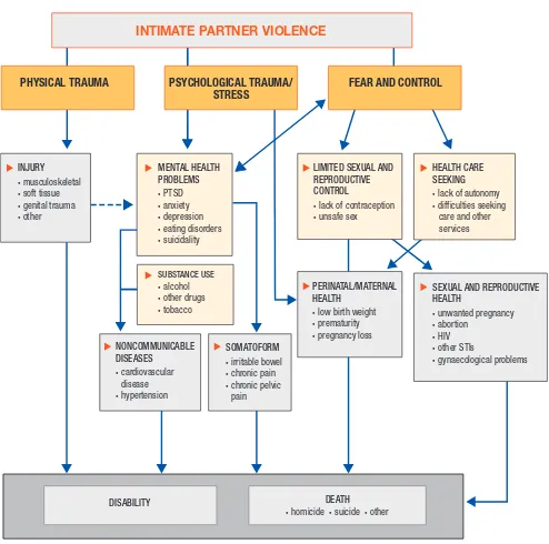 Figure 1. Pathways and health effects on intimate partner violence 