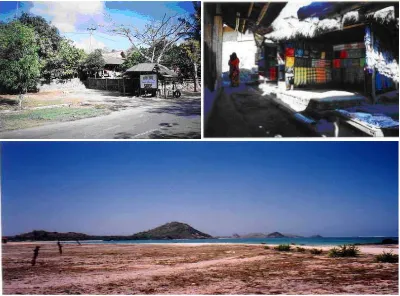 Gambar 1. Dusun Sade dan Kawasan Wisata Pantai Kute (arah jarum jam) (1) Suasana pintu masuk Dusun Sade dengan pola permukiman yang unik