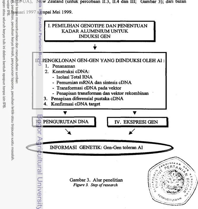 Figure 3.  Step of  research 