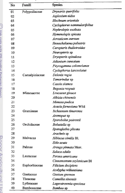 Tabel 5 D& nama jenis tanaman yang ditemukan di petak 7 