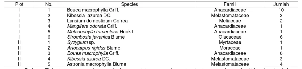 Tabel 2. Permudaan Tingkat Pancang Jenis Lain yang Berasosiasi Dengan Pohon Gaharu Tanduk (Gonystylus macrophyllus (Miq.) Airy Shaw) pada Tiap Plot  