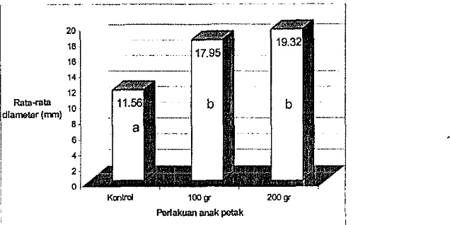 Gambar 3. diatas menunjukkan bahwa pemberian pupuk TSP sebanyak 100 gr dan 200 gr 